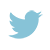 Twitter Icon