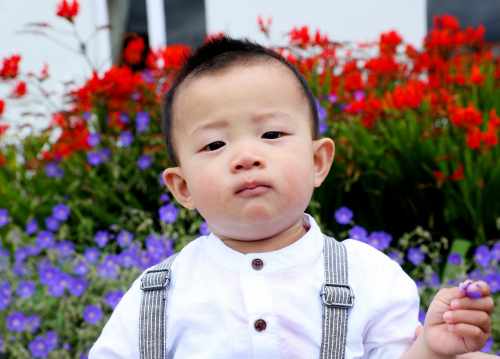 Tim Weng,1, from Cork, at the Fáilte Garden Party