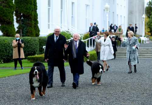 President welcomes Mr. Frank-Walter Steinmeier, President of the Federal Republic of Germany