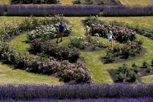 President hosts a Garden Party to acknowledge Sustainable Communities