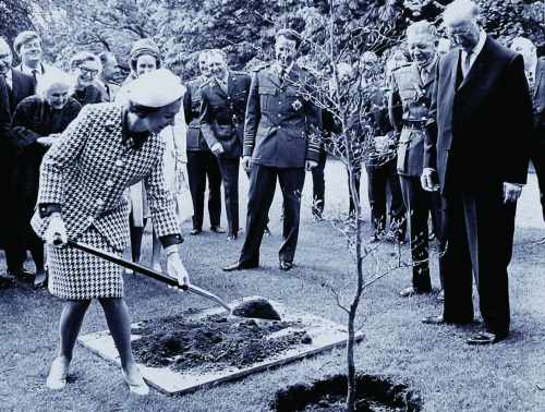 State Visit by King and Queen of Belgium to Ireland