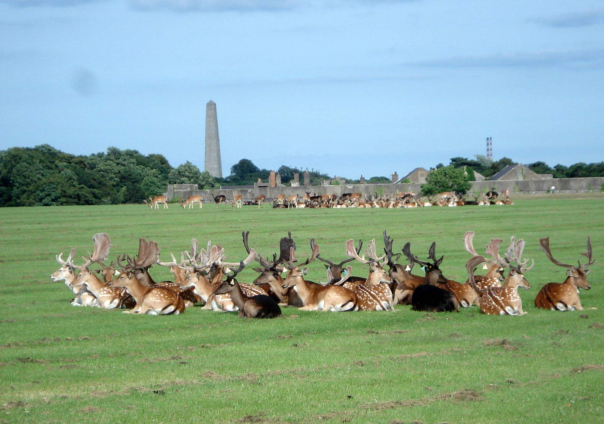 Phoenix Park